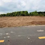 Bán đất mặt tiền Nguyễn Huệ 207m², Đất Đỏ, 1 tỷ 139 triệu - Ảnh thu nhỏ 2