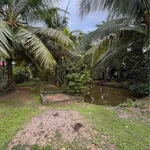 Bán lô đất vườn 1.541m² có thổ cư tại Bến Tre - Ảnh thu nhỏ 2