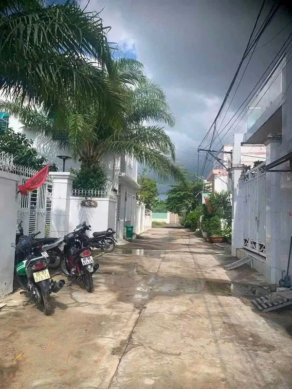 Biệt thự 250m² full thổ cư Ao Lục Bình Phong Nẫm, 3,5 tỷ
