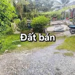 Bán đất mặt tiền Kênh Ông Cố 216m² Bến Lức Long An - Ảnh thu nhỏ 2