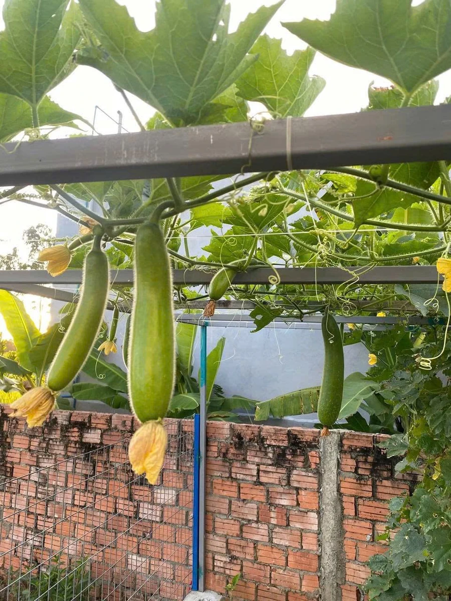Bán nhà 2PN 110m² gần chợ Lệ Trạch, 1 tỷ 3 - Ảnh thu nhỏ 3