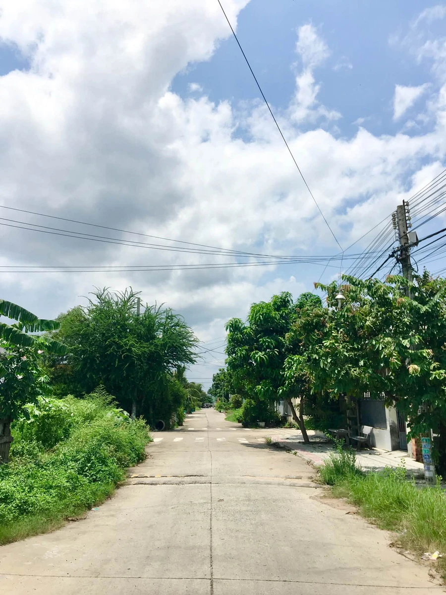 Bán lô đất 100m2 Bến Lội Phan Thiết gần KDC Lại An Viên - Ảnh thu nhỏ 4