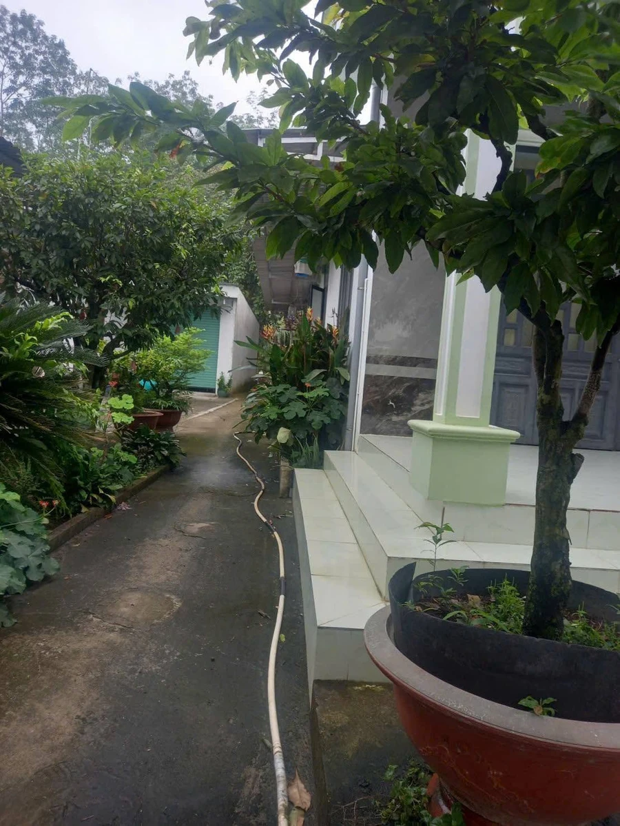 Bán đất Phường Long Nguyên mặt tiền 315 m² giá 2 tỷ - Ảnh thu nhỏ 3