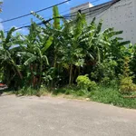 Bán đất 3 mặt tiền 5.5x18m Nguyễn Thị Định Bạc Liêu 950tr - Ảnh thu nhỏ 4