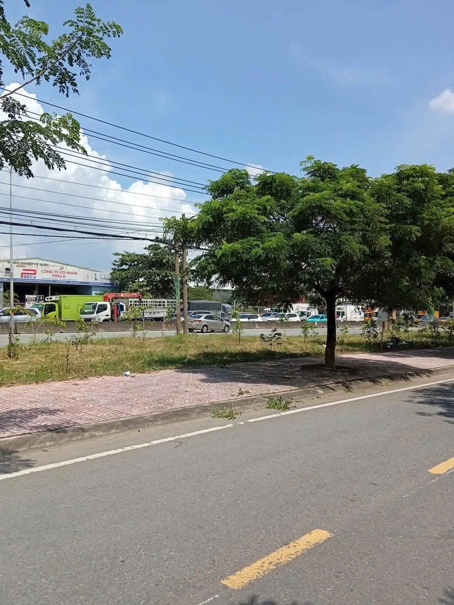 Bán đất 2 mặt tiền 100m² Châu Thới Bình Dương 4.7 tỷ - Ảnh thu nhỏ 3