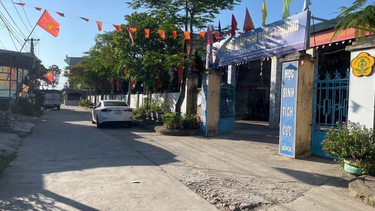 Bán lô đất 91,2m² Thôn Đươi, Đoàn Thượng, Hải Phòng 1,1 tỷ - Ảnh thu nhỏ 5