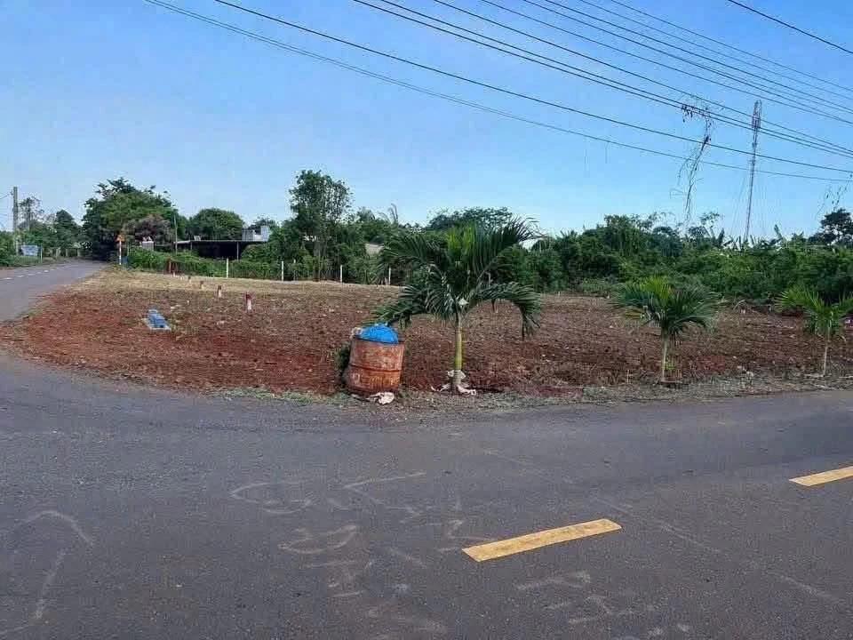 Bán đất gần chợ Long Tân 120m², đường nhựa - Ảnh 1
