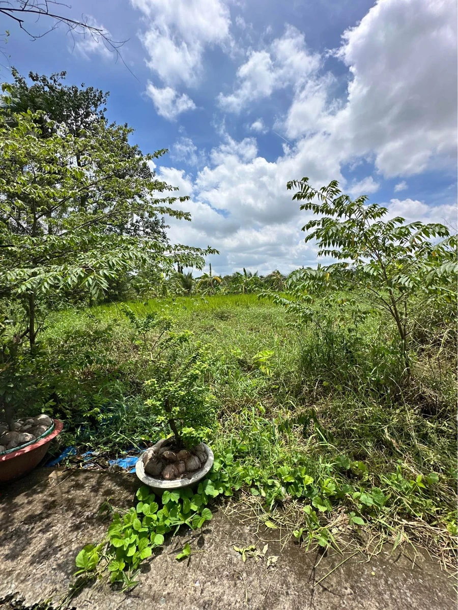 Bán đất thổ cư 123.5m² Phường Long An, Tân An - Ảnh thu nhỏ 3