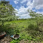 Bán đất thổ cư 123.5m² Phường Long An, Tân An - Ảnh thu nhỏ 3
