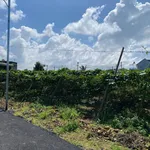 Bán đất Cần Giờ 250m² gần chợ Tân Hội 990 triệu - Ảnh thu nhỏ 3