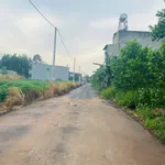 Bán đất SHR 110m² (5.5x20m) Tam Phước, Bình Dương 860 triệu - Ảnh thu nhỏ 2