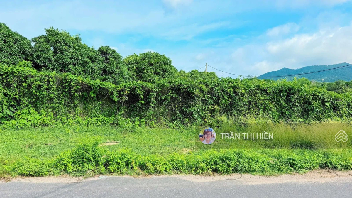 Vườn xoài thị trấn Phước Hải - 610m2 - sẵn 120m2 thổ cư - 10x60m - Ảnh thu nhỏ 4