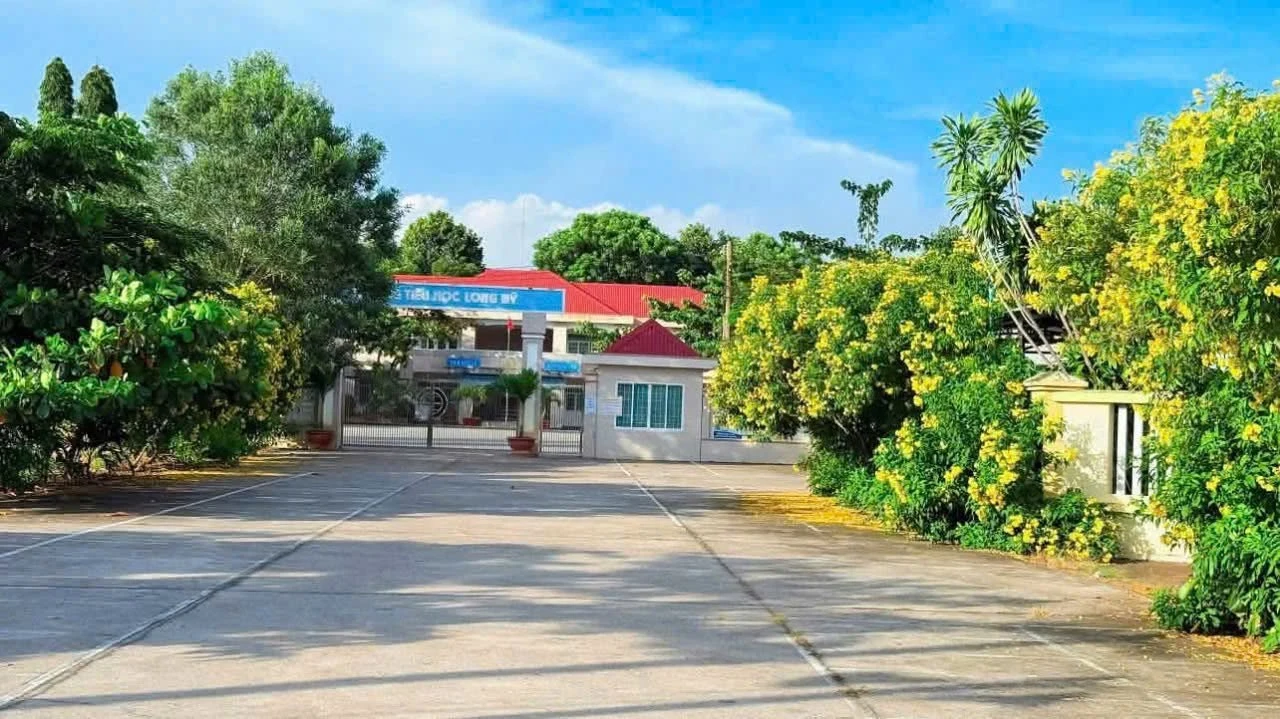 Bán đất biển Phước Hải 332m² mặt tiền 8m - Ảnh 1