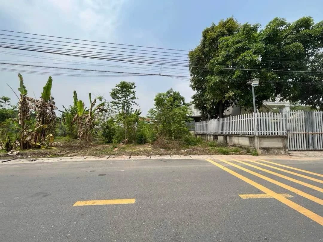 Bán đất 241m2 Phường Phú Chánh, Tân Uyên, Bình Dương - Ảnh thu nhỏ 2