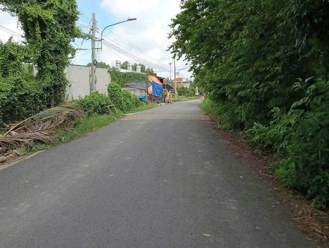 Bán lô đất thổ cư 3,3 tỷ đường nhựa thông Phú An - Ảnh thu nhỏ 2