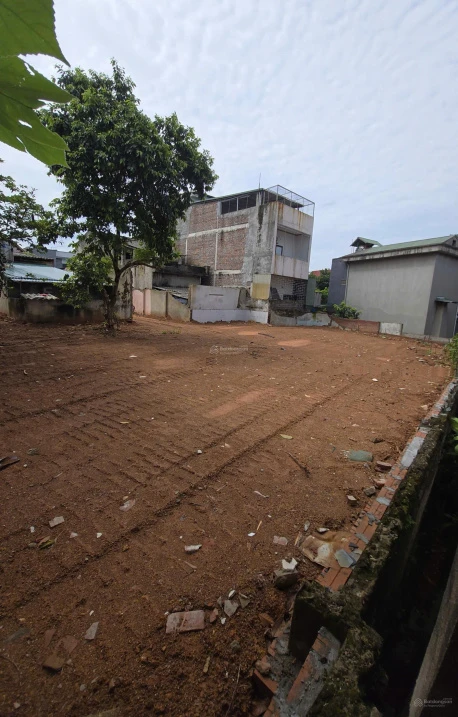 Chính chủ gửi bán đất 289.5m2 Phong Châu, Phù Ninh, Phú Thọ, sổ đỏ chính chủ giá rẻ - Ảnh thu nhỏ 4