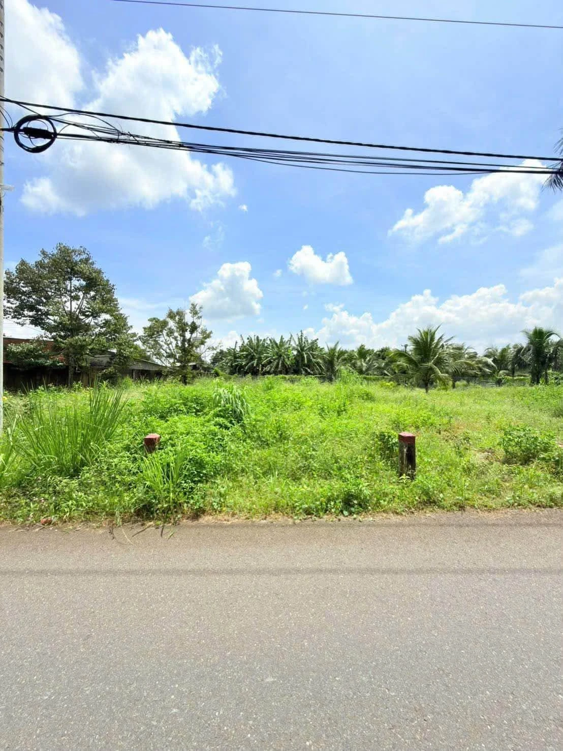 Bán đất thổ cư 135,2m² mặt tiền đường nhựa Suối Chồn, Phường Bảo Vinh, Long Khánh giá 1 tỷ 100 triệu - Ảnh 1