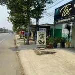 Bán đất 483,7m2 mặt tiền đường xe hơi Bến Lức, Long An - Ảnh thu nhỏ 1