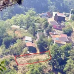 Bán lô đất 500m2 view rừng thông Đà Lạt - Ảnh thu nhỏ 2