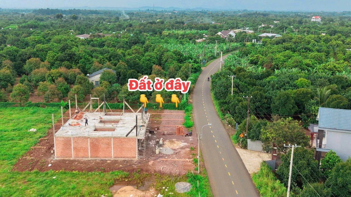 Bán lô đất thổ cư 5x32m mặt tiền nhựa Suối Chồn, Bảo Vinh giá 1,35 tỷ - Ảnh thu nhỏ 3