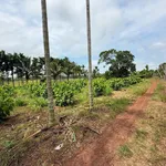 Bán đất nền 836m² view ruộng Tân Hòa, Buôn Đôn - Ảnh thu nhỏ 3