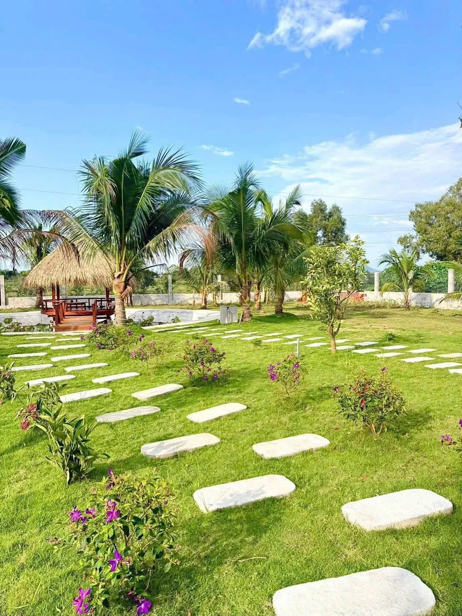 Bán vườn 1.600m² với cây ăn trái tại Hàm Chính, Bình Thuận - 1 tỷ 790 - Ảnh thu nhỏ 5