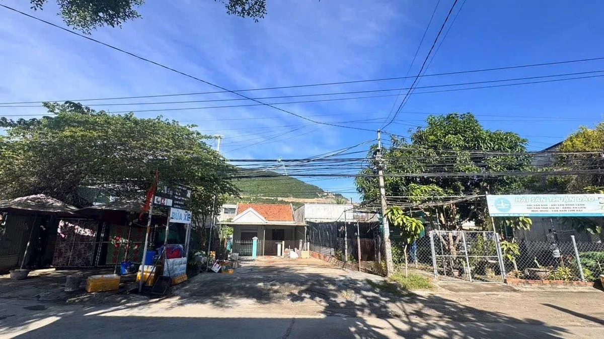Nhà mặt tiền Phong Châu, Nha Trang, 180 m², 6,7 tỷ - Ảnh thu nhỏ 2