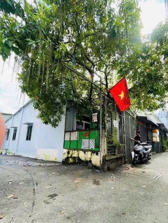 Bán đất 70m² mặt tiền 6m Nghi Liên Hóc Môn 1.3 tỷ anphuthinh
