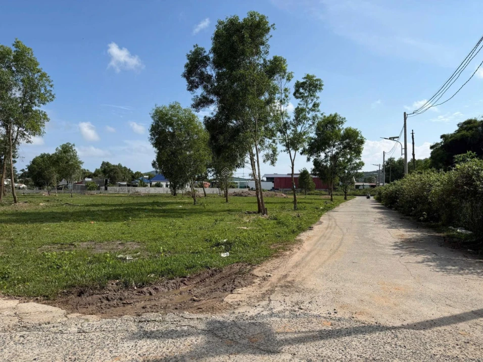 Cần bán đất hẻm Tuyến Tránh, sổ đỏ full đất ở, xây dựng thoải mái, giá cực tốt chỉ 1,5 tỷ - Ảnh 1