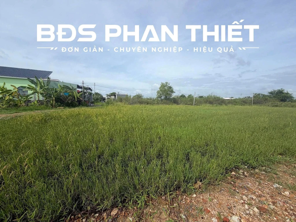 Bán đất 655,4m² Phan Thiết, giá 1 tỷ 250 triệu - Ảnh thu nhỏ 3