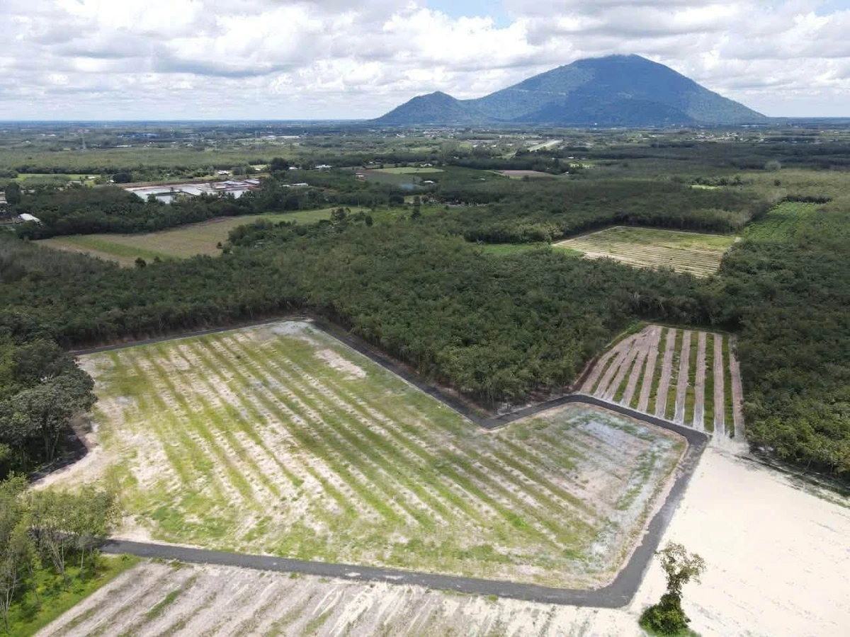 Bán đất 20x50m Phường Bình Minh Tây Ninh 259 triệu - Ảnh thu nhỏ 2