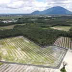 Bán đất 20x50m Phường Bình Minh Tây Ninh 259 triệu - Ảnh thu nhỏ 2