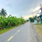 Bán nhà vườn mặt tiền Tỉnh Lộ 833B Tân Trụ 1600m2 - Ảnh thu nhỏ 4