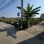 Bán lô đất 260m2 Mậu Thân Tuy Hòa 3 tỷ 200 triệu - Ảnh thu nhỏ 2