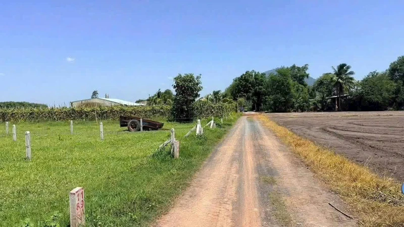 Bán đất 130m² Dương Minh Châu Tây Ninh giá 199 triệu