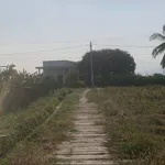 Bán 300m đất thổ cư có nhà cấp 4 ở Nhà Bè 550 triệu - Ảnh thu nhỏ 3
