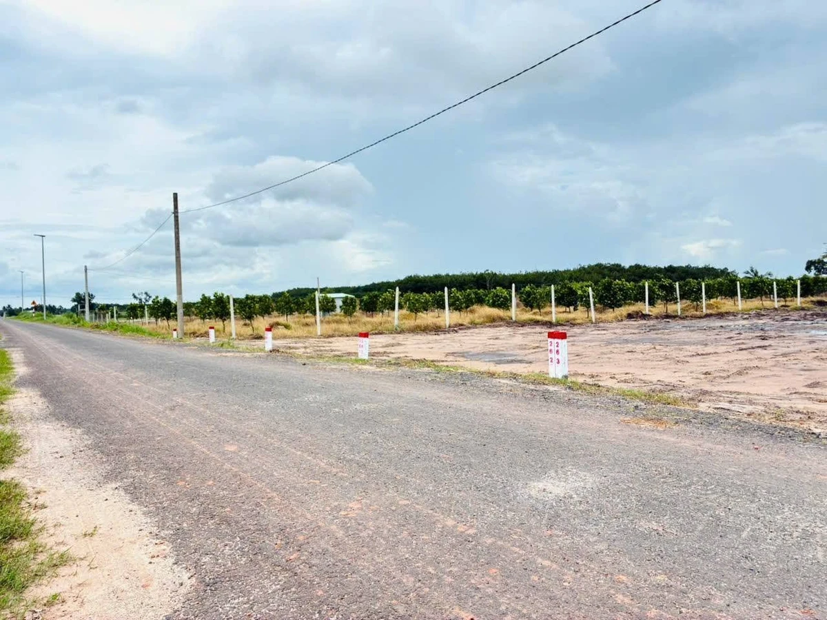 Bán đất nền 300 m² Xã Phan Dương, Tây Ninh 319 triệu - Ảnh thu nhỏ 3