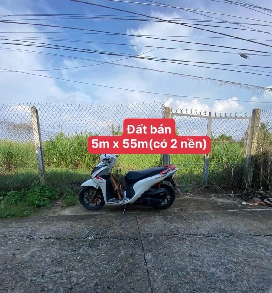 Bán 2 nền đất thổ cư liền kề 275m2 và 272m2 Long An - Ảnh thu nhỏ 2