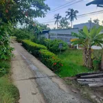 Bán nền đất ngang 8m dài 30m tại Kiên Giang 240m² - Ảnh thu nhỏ 4
