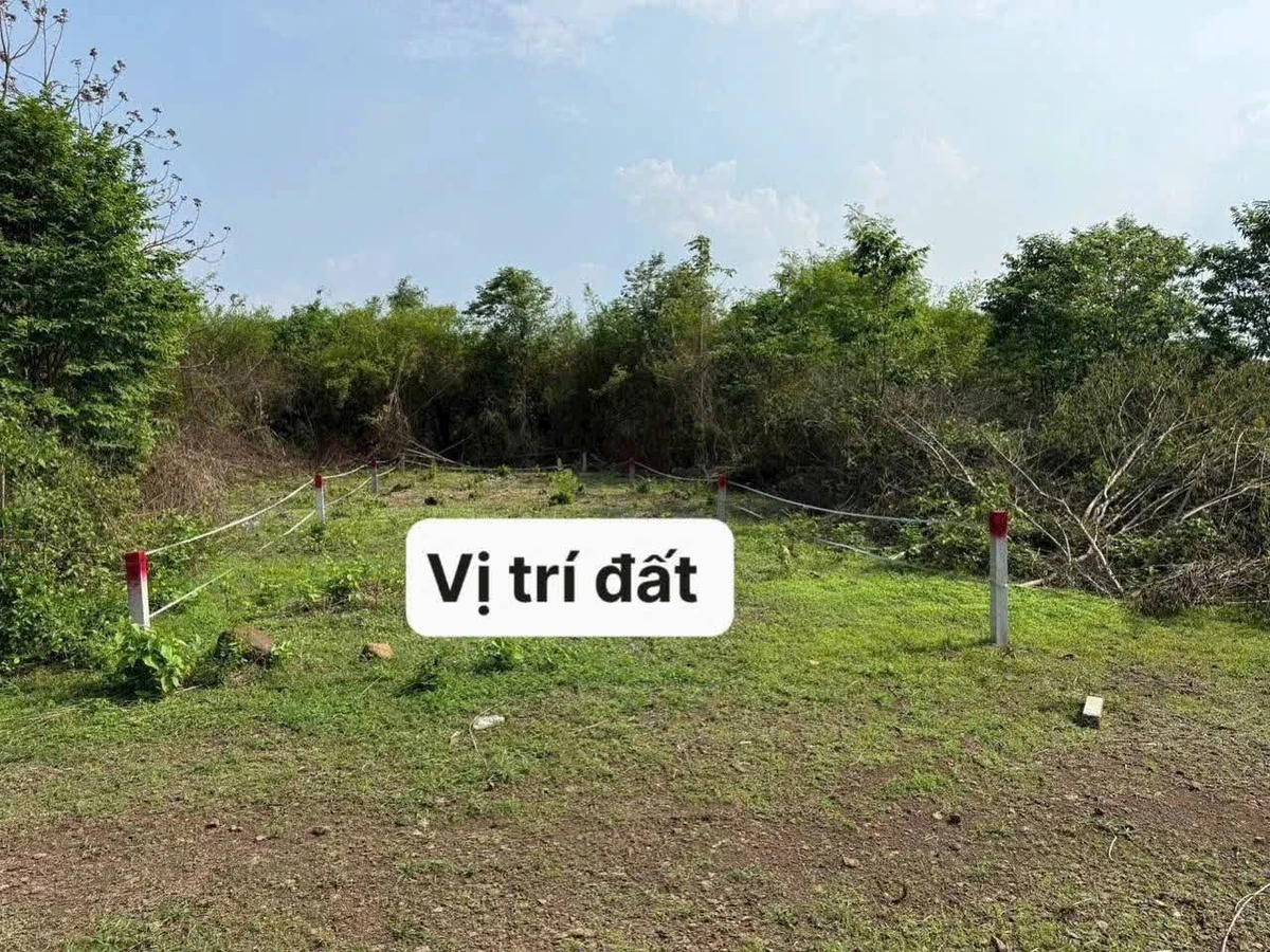 Bán đất 100m² (5×20) Long Khánh, Đồng Nai, 120 triệu - Ảnh 1