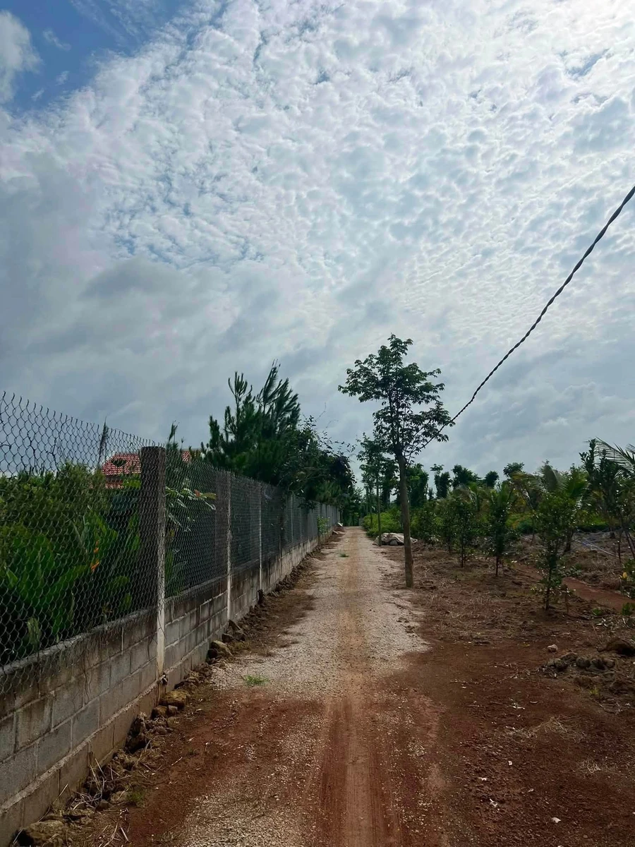 Bán 1,5 mẫu đất Đá Bạc Tp Hcm, 6,5 tỷ - Ảnh thu nhỏ 2