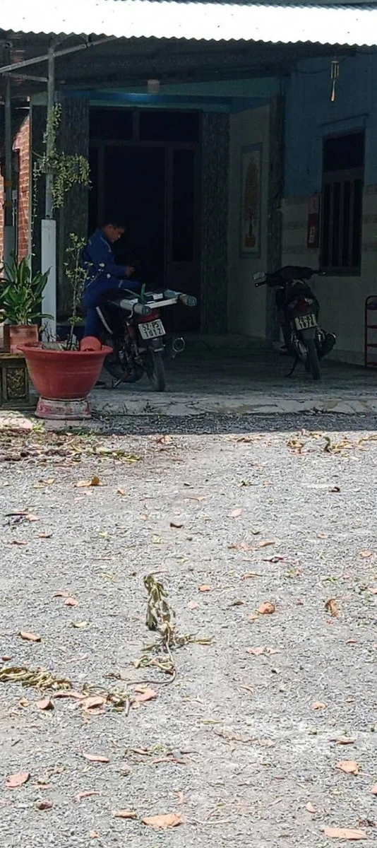 Bán nhà rộng đất lớn 900m² gần KCN Trảng Bàng 2,4 tỷ - Ảnh thu nhỏ 2