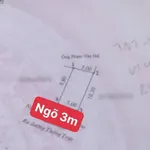 Bán lô đất 48.9m² Thống Trực, Kiến An, Hải Phòng, giá hơn 1 tỷ - Ảnh thu nhỏ 3