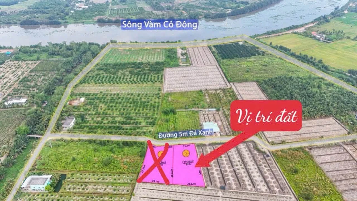 Bán đất vườn 1.215m² Xã Bình Đức, Tây Ninh - Ảnh thu nhỏ 5