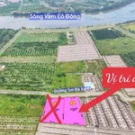 Bán đất vườn 1.215m² Xã Bình Đức, Tây Ninh - Ảnh thu nhỏ 5