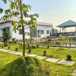 Bán nhà sân vườn 861m² 2PN Cần Dước Tây Ninh 3,7 tỷ - Ảnh thu nhỏ 3
