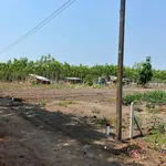 Bán đất 1000m² Sào Quang Minh Hóc Môn, 299 triệu - Ảnh thu nhỏ 2