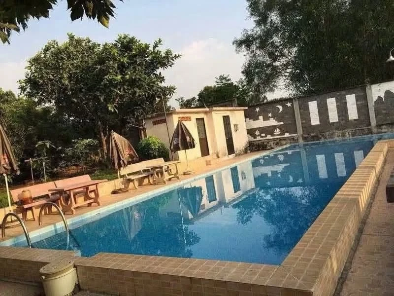 Bán đất vườn 2.735m² Tân Thông Hội Củ Chi, 12,5 tỷ - Ảnh thu nhỏ 3
