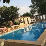 Bán đất vườn 2.735m² Tân Thông Hội Củ Chi, 12,5 tỷ - Ảnh thu nhỏ 3
