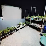 Bán nhà Mã Lò, Bình Tân 50m², 3 tầng, giá 4,275 tỷ - Ảnh thu nhỏ 5